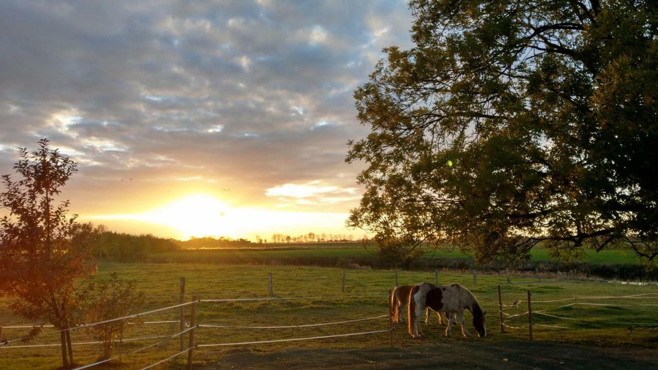 Appartement im Stall Lune River Ranch Loxstedt Esterno foto
